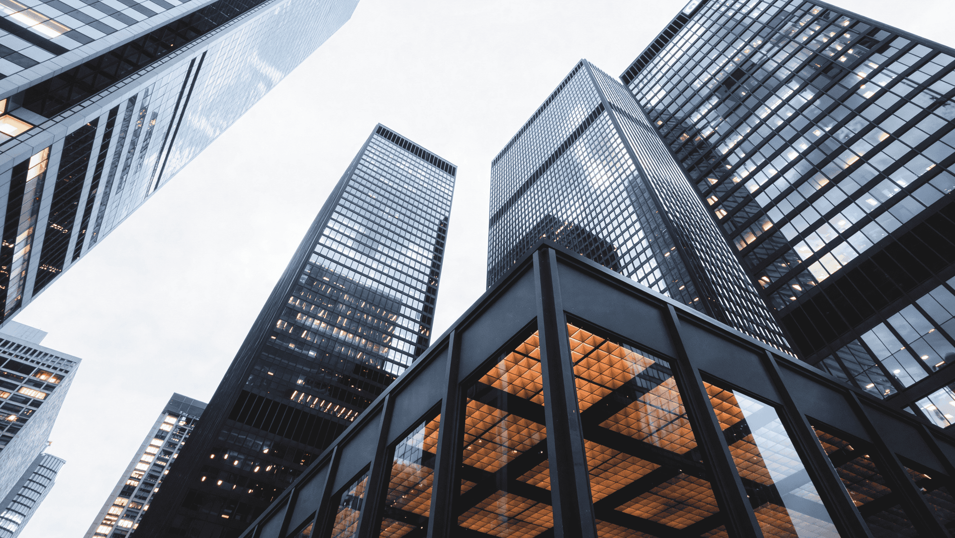 IP News