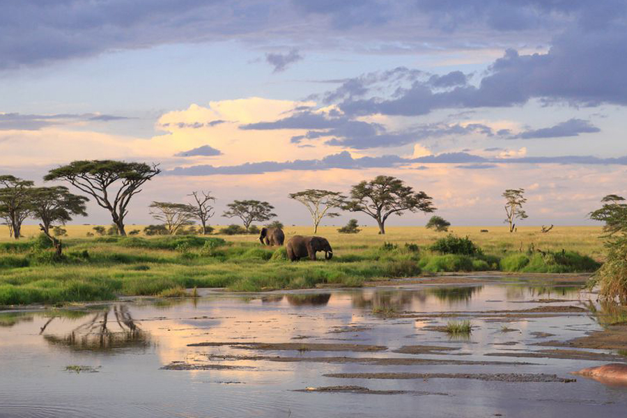 Tanzania